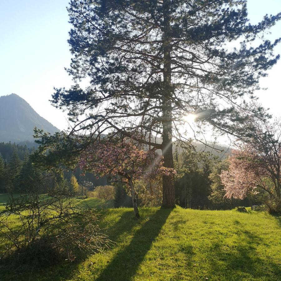 Ferienwohnung Remise Am Reitl Fieberbrunn Luaran gambar