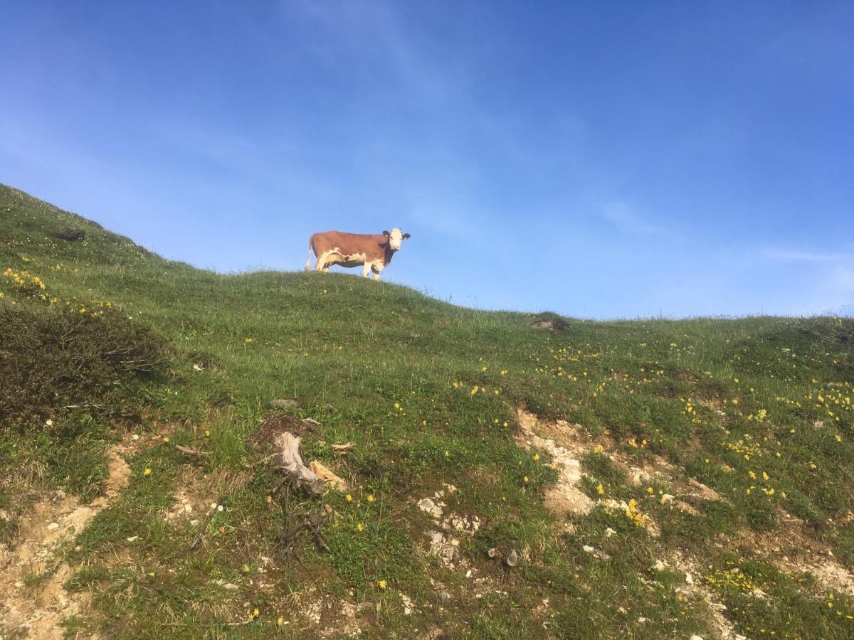 Ferienwohnung Remise Am Reitl Fieberbrunn Luaran gambar